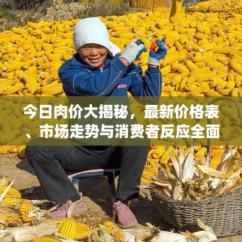 今日肉價大揭秘，最新價格表、市場走勢與消費者反應(yīng)全面解讀