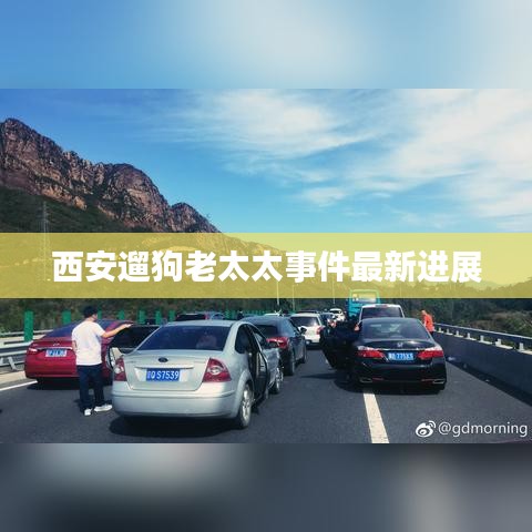 西安遛狗老太太事件最新進(jìn)展
