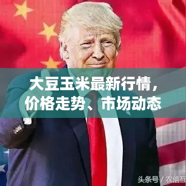 大豆玉米最新行情，價格走勢、市場動態(tài)及影響因素深度解析