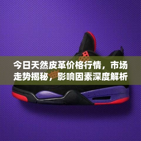 今日天然皮革價格行情，市場走勢揭秘，影響因素深度解析