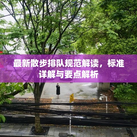 最新散步排隊(duì)規(guī)范解讀，標(biāo)準(zhǔn)詳解與要點(diǎn)解析