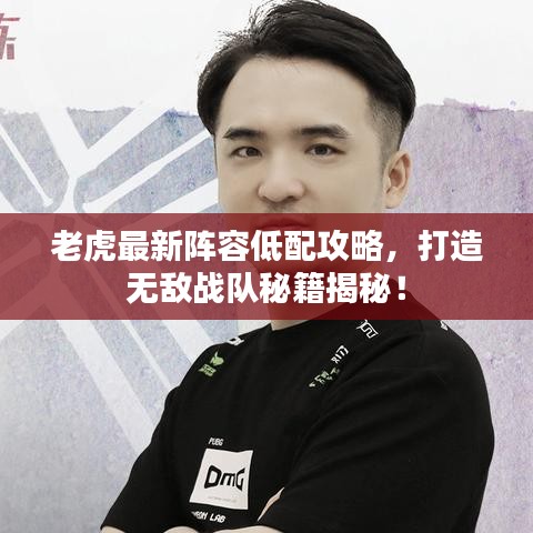 老虎最新陣容低配攻略，打造無敵戰(zhàn)隊秘籍揭秘！