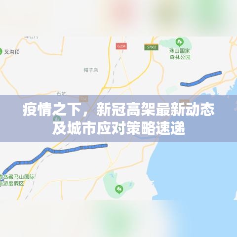 疫情之下，新冠高架最新動(dòng)態(tài)及城市應(yīng)對(duì)策略速遞