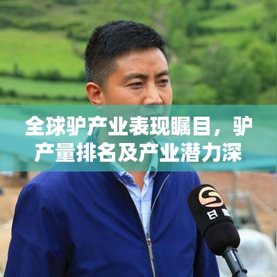 全球驢產(chǎn)業(yè)表現(xiàn)矚目，驢產(chǎn)量排名及產(chǎn)業(yè)潛力深度解析