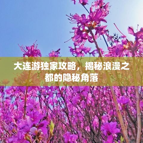 大連游獨家攻略，揭秘浪漫之都的隱秘角落