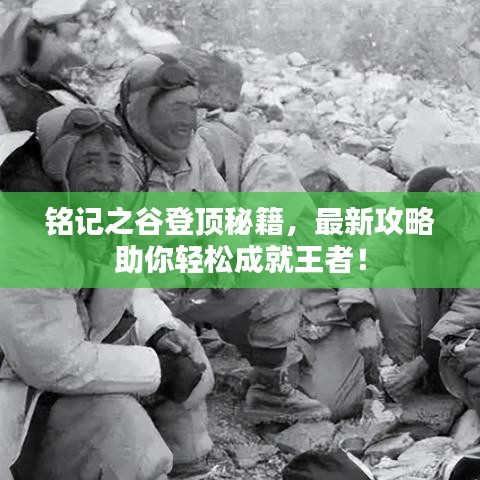 銘記之谷登頂秘籍，最新攻略助你輕松成就王者！