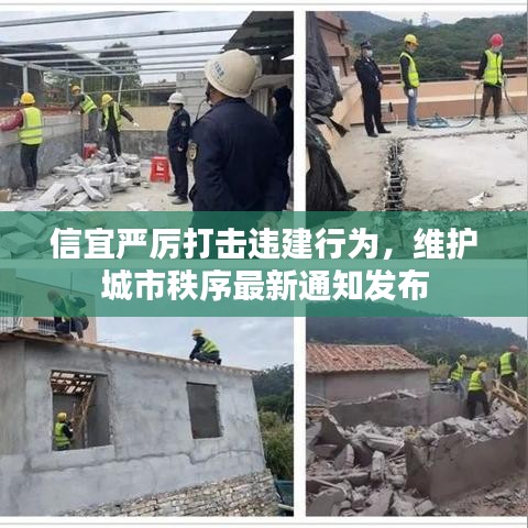 信宜嚴(yán)厲打擊違建行為，維護(hù)城市秩序最新通知發(fā)布