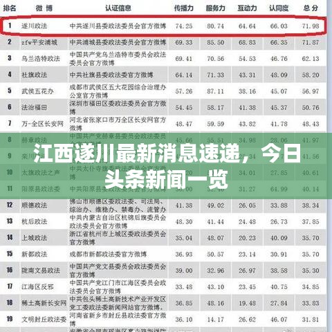 江西遂川最新消息速遞，今日頭條新聞一覽