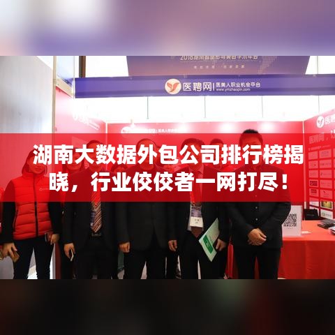 湖南大數(shù)據(jù)外包公司排行榜揭曉，行業(yè)佼佼者一網(wǎng)打盡！