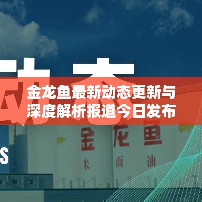 金龍魚最新動態(tài)更新與深度解析報道今日發(fā)布