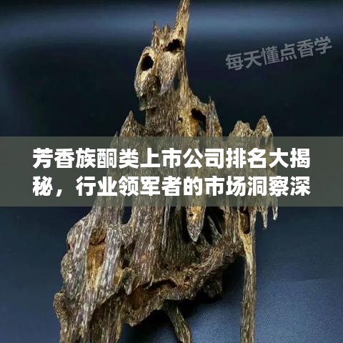 芳香族酮類上市公司排名大揭秘，行業(yè)領(lǐng)軍者的市場洞察深度解讀