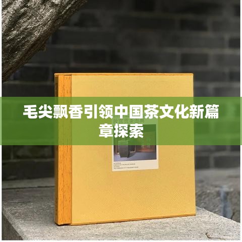 毛尖飄香引領(lǐng)中國(guó)茶文化新篇章探索