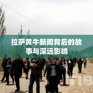 拉薩黃牛新聞背后的故事與深遠(yuǎn)影響