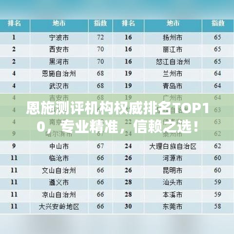恩施測評機(jī)構(gòu)權(quán)威排名TOP10，專業(yè)精準(zhǔn)，信賴之選！