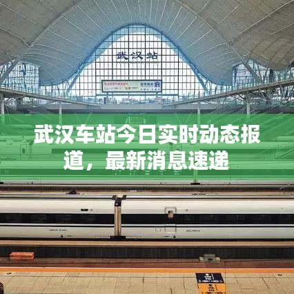 武漢車站今日實(shí)時(shí)動態(tài)報(bào)道，最新消息速遞