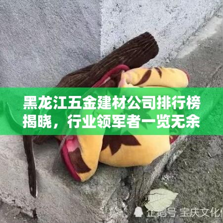 黑龍江五金建材公司排行榜揭曉，行業(yè)領(lǐng)軍者一覽無余