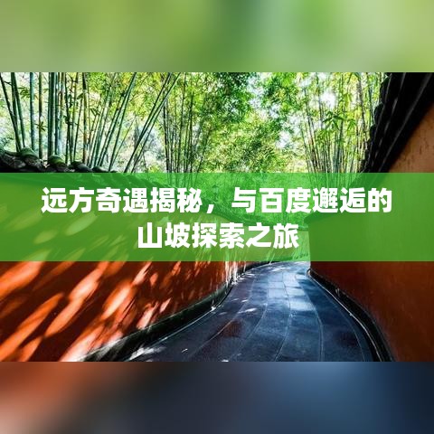 遠(yuǎn)方奇遇揭秘，與百度邂逅的山坡探索之旅