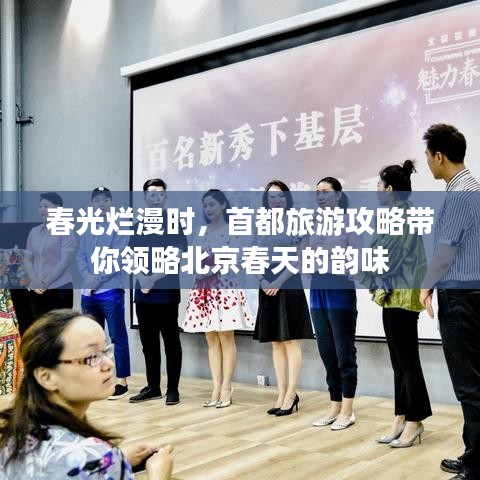 春光爛漫時，首都旅游攻略帶你領略北京春天的韻味