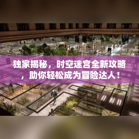 獨家揭秘，時空迷宮全新攻略，助你輕松成為冒險達人！