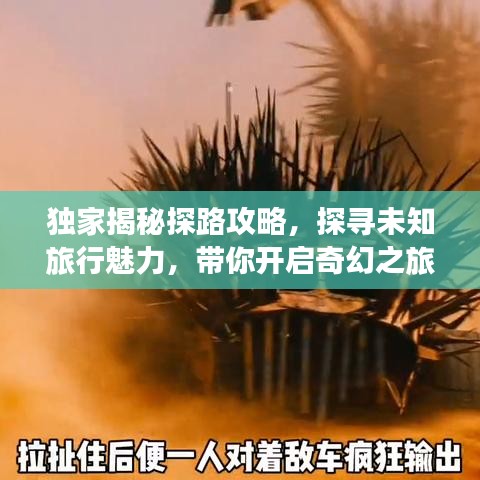 獨家揭秘探路攻略，探尋未知旅行魅力，帶你開啟奇幻之旅！