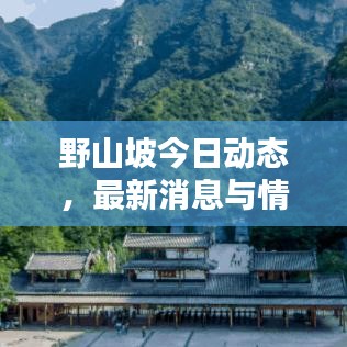 野山坡今日動(dòng)態(tài)，最新消息與情況速覽