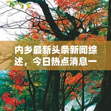 內(nèi)鄉(xiāng)最新頭條新聞綜述，今日熱點(diǎn)消息一網(wǎng)打盡