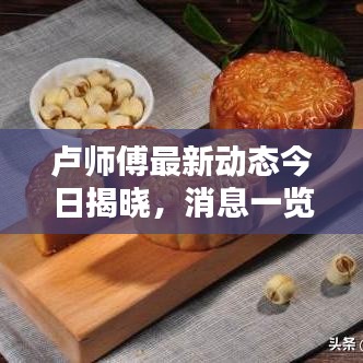 盧師傅最新動(dòng)態(tài)今日揭曉，消息一覽，不容錯(cuò)過！