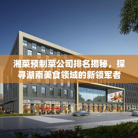 湘菜預(yù)制菜公司排名揭秘，探尋湖南美食領(lǐng)域的新領(lǐng)軍者