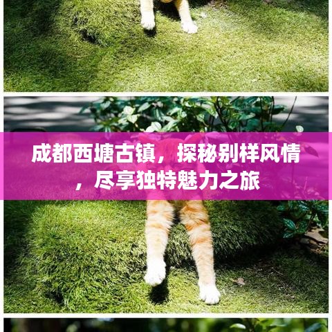 成都西塘古鎮(zhèn)，探秘別樣風(fēng)情，盡享獨(dú)特魅力之旅