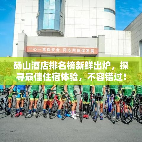 碭山酒店排名榜新鮮出爐，探尋最佳住宿體驗(yàn)，不容錯過！