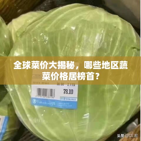 全球菜價(jià)大揭秘，哪些地區(qū)蔬菜價(jià)格居榜首？