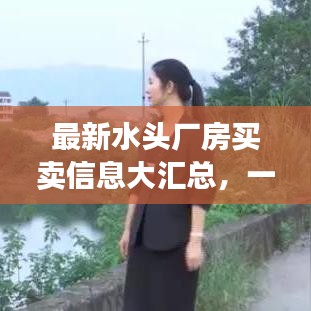 最新水頭廠房買賣信息大匯總，一站式瀏覽，不容錯過！