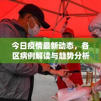 今日疫情最新動(dòng)態(tài)，各區(qū)病例解讀與趨勢(shì)分析