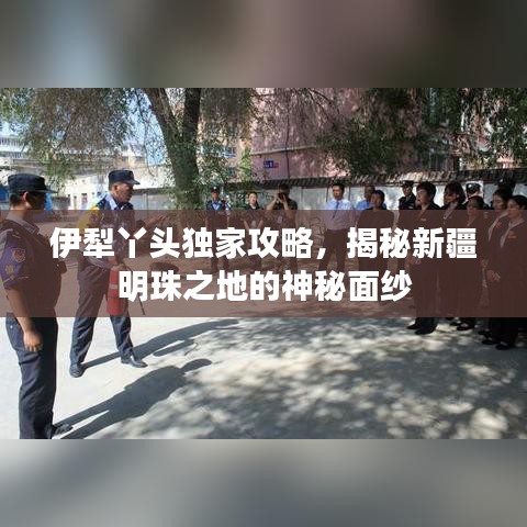 伊犁丫頭獨(dú)家攻略，揭秘新疆明珠之地的神秘面紗