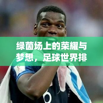 綠茵場上的榮耀與夢想，足球世界排名大揭秘！