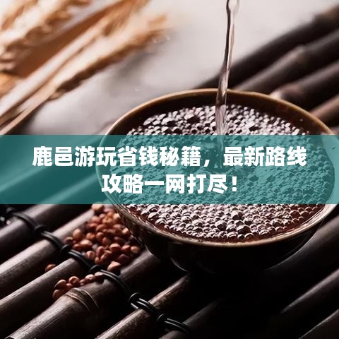 鹿邑游玩省錢秘籍，最新路線攻略一網(wǎng)打盡！