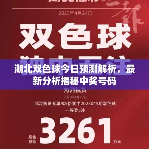 湖北雙色球今日預(yù)測解析，最新分析揭秘中獎號碼