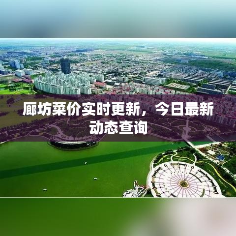廊坊菜價實時更新，今日最新動態(tài)查詢