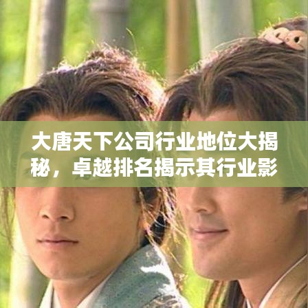 大唐天下公司行業(yè)地位大揭秘，卓越排名揭示其行業(yè)影響力