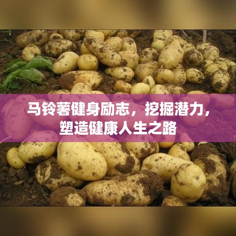 馬鈴薯健身勵(lì)志，挖掘潛力，塑造健康人生之路