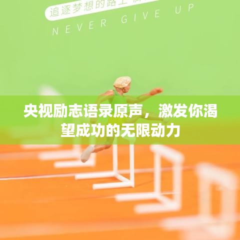 央視勵(lì)志語(yǔ)錄原聲，激發(fā)你渴望成功的無(wú)限動(dòng)力