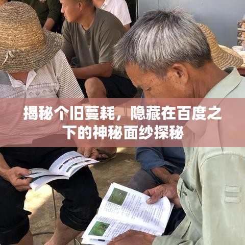 揭秘個舊蔓耗，隱藏在百度之下的神秘面紗探秘