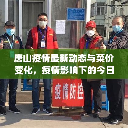 唐山疫情最新動態(tài)與菜價變化，疫情影響下的今日菜價分析