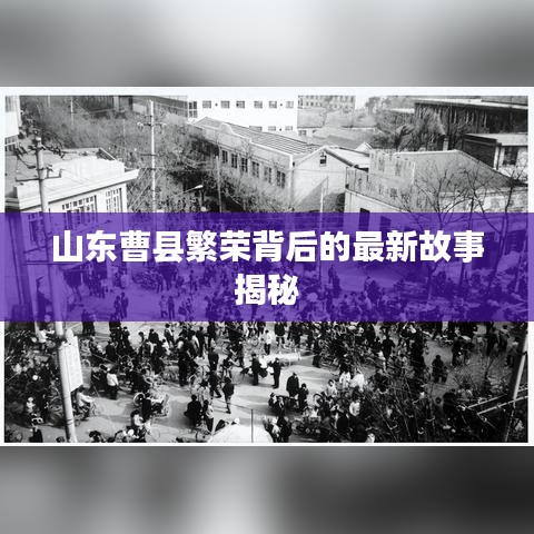 山東曹縣繁榮背后的最新故事揭秘