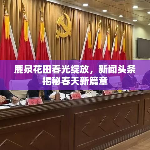 鹿泉花田春光綻放，新聞頭條揭秘春天新篇章