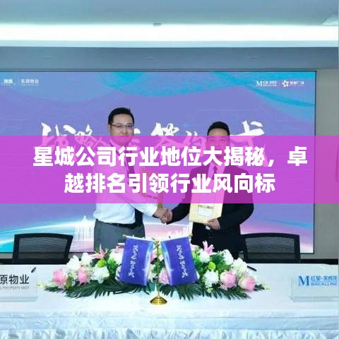 星城公司行業(yè)地位大揭秘，卓越排名引領(lǐng)行業(yè)風(fēng)向標(biāo)