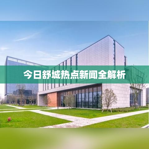 今日舒城熱點新聞全解析