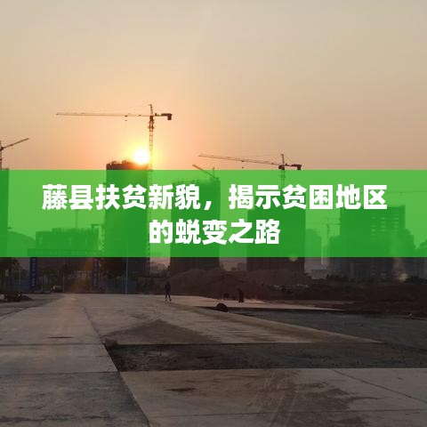 藤縣扶貧新貌，揭示貧困地區(qū)的蛻變之路