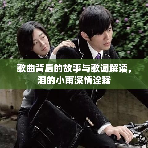歌曲背后的故事與歌詞解讀，淚的小雨深情詮釋