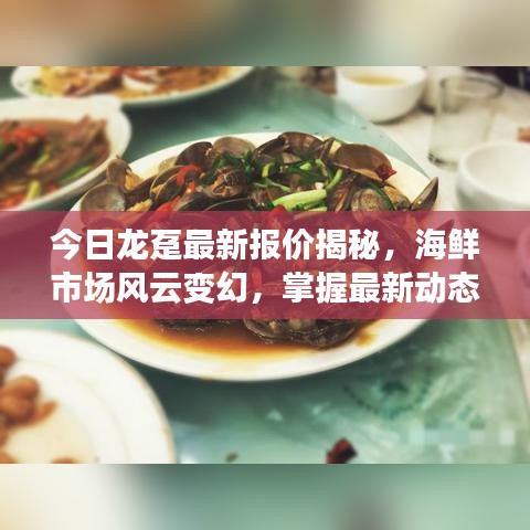 今日龍躉最新報(bào)價(jià)揭秘，海鮮市場(chǎng)風(fēng)云變幻，掌握最新動(dòng)態(tài)！